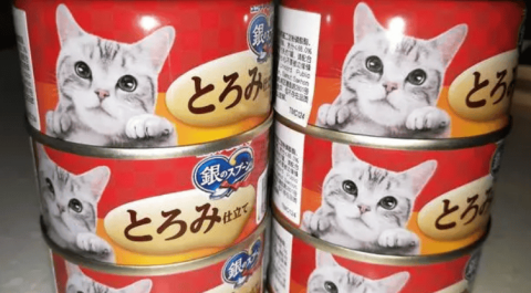 Galazi Silver Spoon Canned Cats, large pieces of fish are delicious and suitable for picky cats!