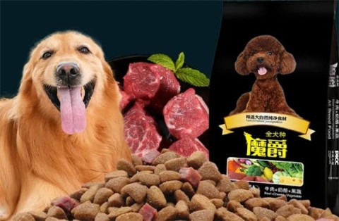 Mojue dog food price