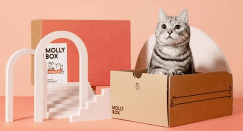 Magic Cat Box completes US$20 million in financing, how should domestic pet e-commerce develop?