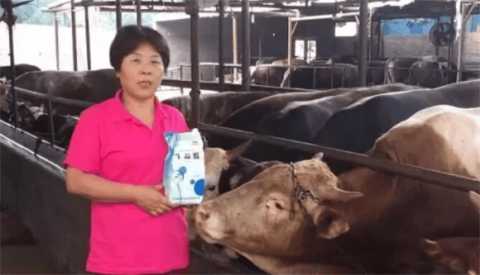 Efficacy of using life source for breeding cows?