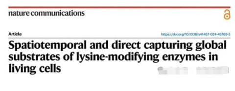 Nature Commun. |Spatiotemporal direct capture of lysine-modifying enzyme substrates in living cells