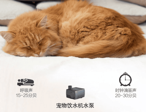 Juyang water dispenser review, cute pet finally fell in love with drinking water