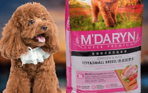 Is Madeleine dog food poisonous food?