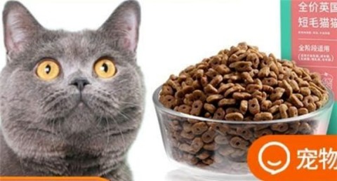 Is Cares good? The choice that British Shorthair cats love, natural deep-sea fish food!