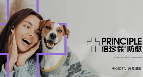 Open up the world of pet health, and upgrade the brand of high-end pet medical research and health care brand Beizhenbao