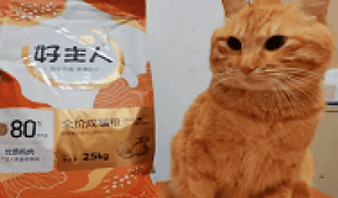 Don’t be taxed by imported food, choose gold to pack the owner’s cat food – the cost-effective choice of domestically produced high-quality cat food