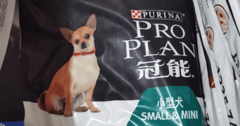 Which is better, Pinn dog food or Guanneng dog food?