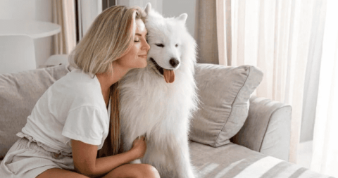 What kind of dog food is good for a two-month-old Samoyed puppy?