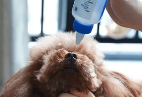 What eye drops should I use if my dog’s eyes are red and watery?