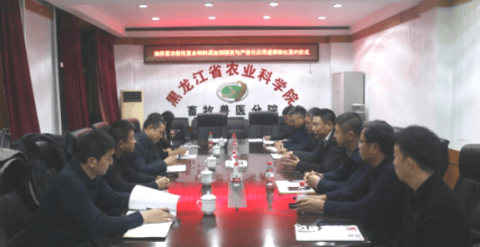 Warmly celebrate the successful technical cooperation signing between Harbin Lvda Animal Pharmaceutical Co., Ltd. and the Animal Husbandry and Veterinary Branch of the Heilongjiang Academy of Agricultural Sciences!