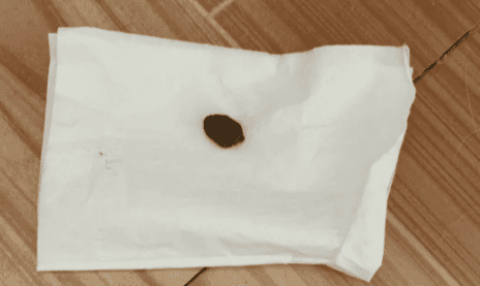 Cat unintentionally leaks a small poop