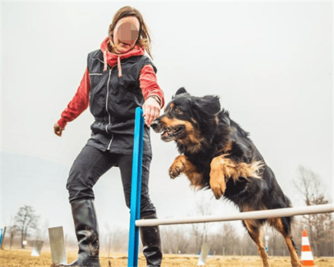 What is the profession of a dog handler?