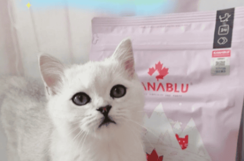 Is Jialan cat food made in China?