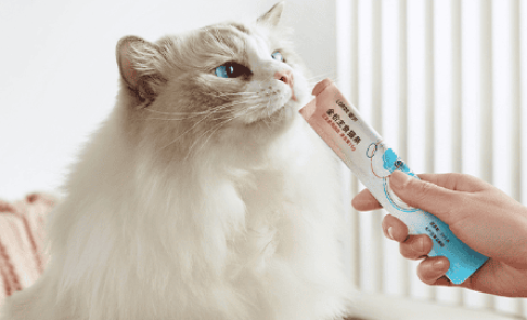 Recommended cost-effective cat strips—Lidou Neptune Cat Strips