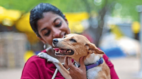 The Economist | More and more Indians are raising dogs