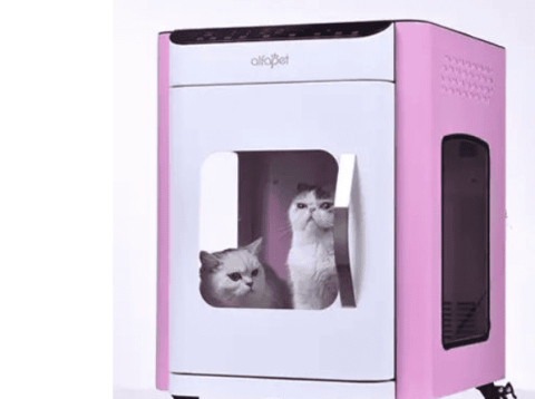 Revealing the secret/Why Alpha pet smart dryer is so popular