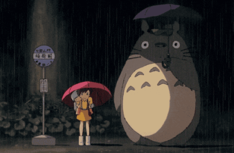 Totoro, is it really something you can raise if you want?