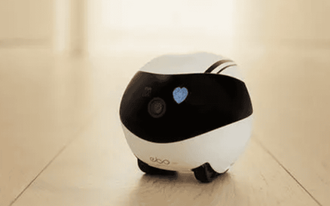 How about Ebo smart robot?