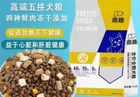 What brand does Dingqu dog food belong to?