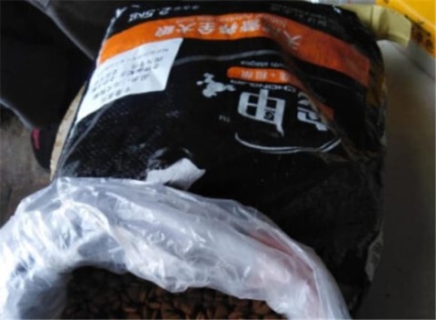 Where is the brand of Chongjia dog food produced?