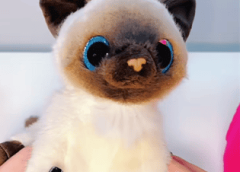 Pet cute pet toy doll: children’s new favorite