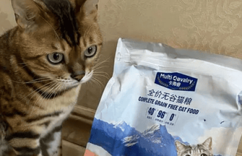 How about Calfrey pet cat food? Come and find out quickly