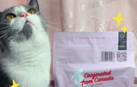 Where is Jialan cat food produced?