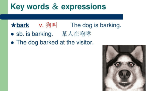 How to say dog ​​barks in English