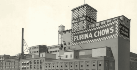 The jump from animal feed to pet food – Purina tells the story of pet food over a century