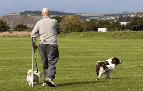 How much does a dog handler make?