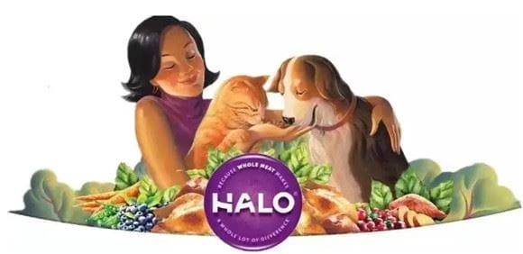 Natural Halo Science | How much should kittens eat?