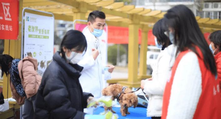 Chong Xin'an cooperates with Jiajiajingyuan Community of Wulitun Street to carry out multiple free clinic activities for pets to welcome the month of learning from Lei Feng