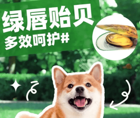 The magical green-lipped mussel, a joint shield for dogs|Haizhige Pet Care Class