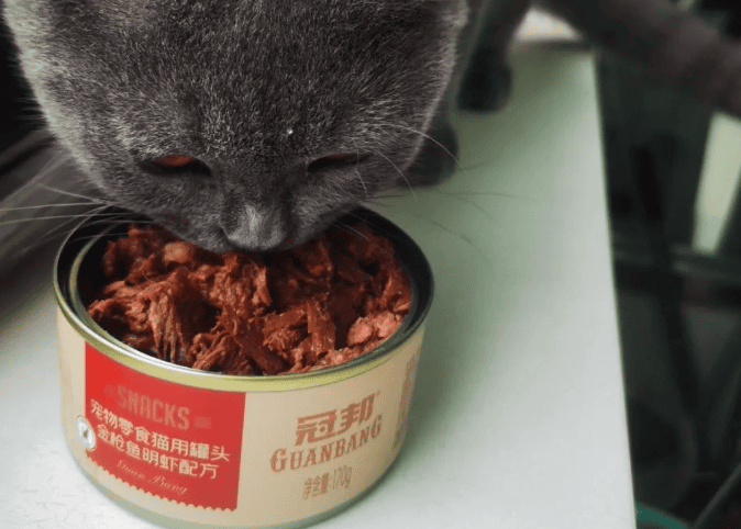 Guanbang丨What to do if your cat is picky and anorexic?