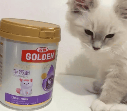 How much water does one spoonful of cat and goat milk powder contain?