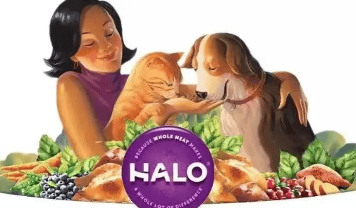  Halo Science | How should I change food for kittens? 