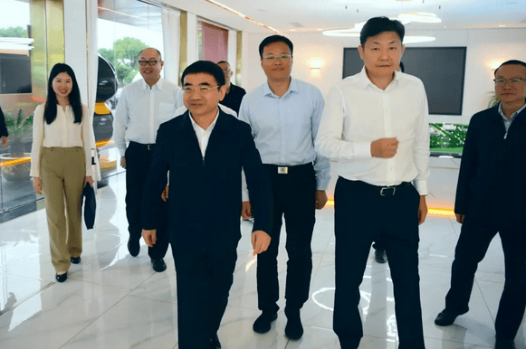 The Vice Governor visited Bolai Food Industrial Park for inspection and research