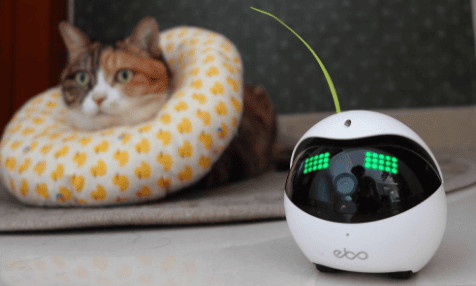 Is Ebo a pet robot good? Why not take a look?