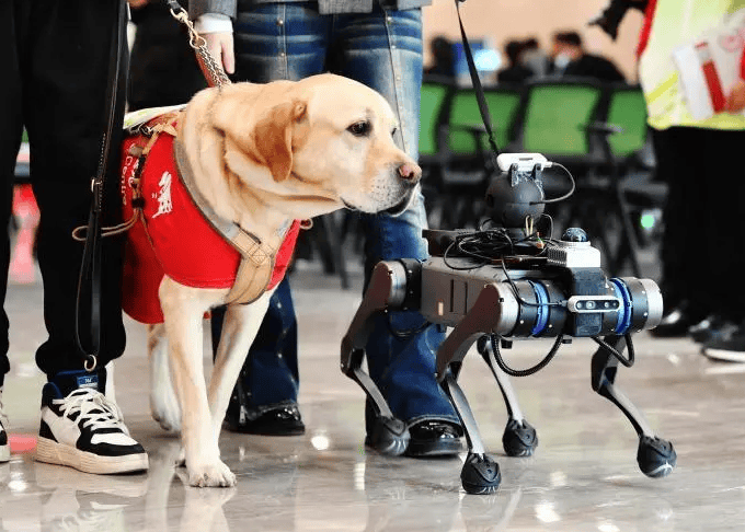 Advantages and Disadvantages of Electronic Guide Dogs