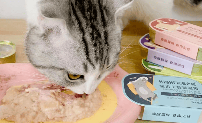 How to choose different types of cat food in Haizhige~