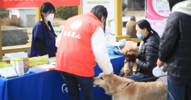 Chongxin'an cooperates with Jiajiajingyuan Community of Wulitun Street to carry out multiple free clinic activities for pets to welcome the month of learning from Lei Feng