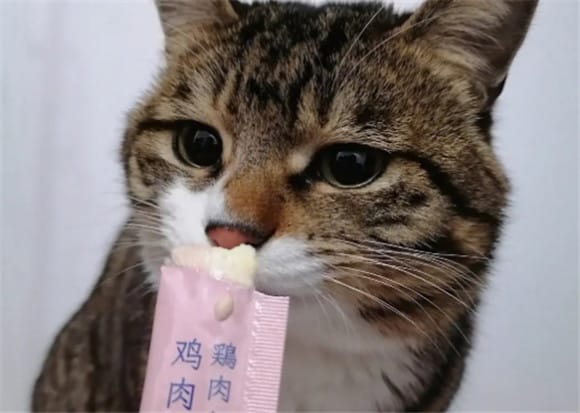 Cats can eat cat strips if they are a few months old