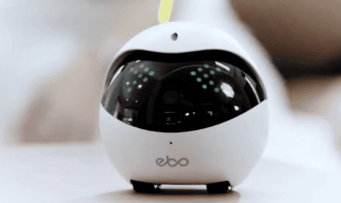 Popular Science: How is the Ebo pet robot?