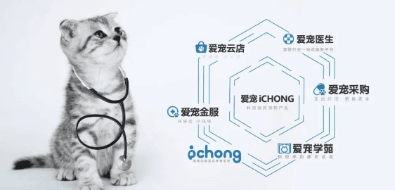 Brand Cooperation| Beloved Xiang® focuses on high-quality pet nutrition