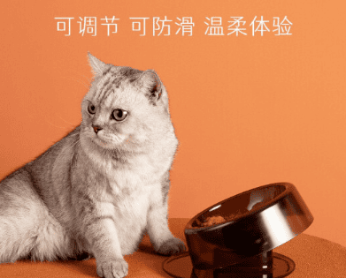 Xiaohongli Feeding Bowl: Bring a better dining experience to your cat