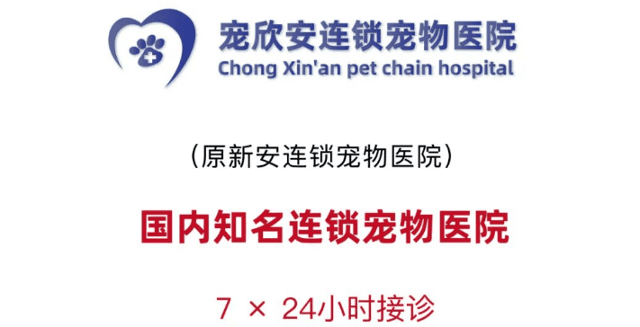 Chongxin'an teamed up with Jiajiajingyuan Community in Wulitun Street to carry out multiple free pet clinic activities to welcome Xu Lei Fengyue