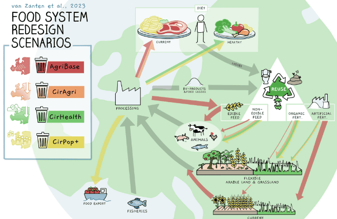 "Analysis of the unique formula of Youlang pet food: meeting the nutritional needs of pets"