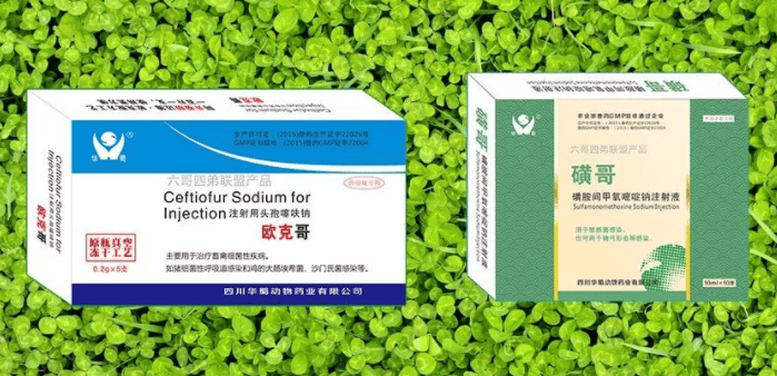 Sichuan Huashu Animal Pharmaceutical Co., Ltd. - Product Promotion Guide