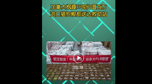 Canada Fengqu donated 19 tons of cat and dog food worth millions, which has been delivered to rescue stations, and will send 300 packs of Yi's Choice cat and dog food to medical care