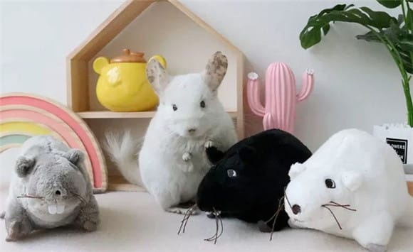  Why do all the IKEA mice you buy become Totoro's sexual partners? 